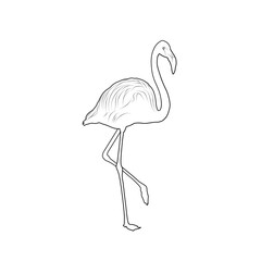Flamingo, illustration. Outline drawing. Black contour. Decorative element. Image can be painted in any color.