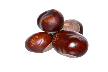 chestnut fruit isolated on white background