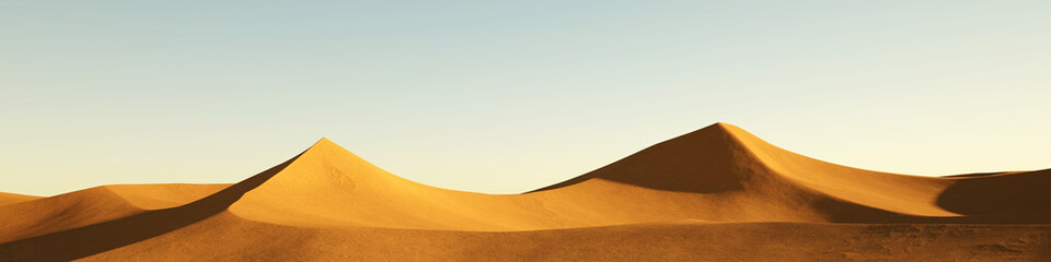 Fototapeta na wymiar Empty Sahara desert with sand dune at sunset