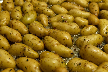 Golden yellow rosemary potatoes on a baking tray, seasoned with rosemary, thyme and large grain salt