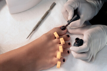 Home salon pedicure. Foot care treatment and nail. The process of professional pedicures. Master in white gloves apply burgundy gel polish.