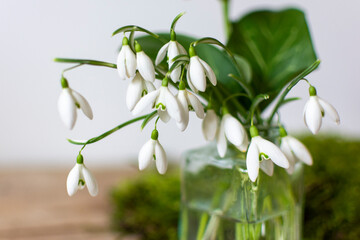 Snowdrops in a small vintage glass vase.