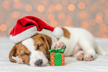 Jack russell terrier wearing red santa's hat sleeps with gift box on festive background