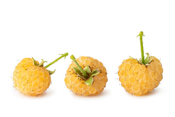 Three ripe yellow raspberry fruits with green stems isolated on white background. Full depth of field. Clipping path