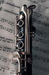 Obraz premium Musical notes and his clarinet.