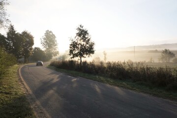 The winding road between trees in the morning mist. Silhouette of car on the road.