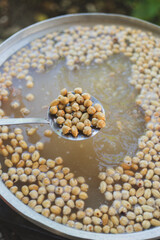 Young woman making turkish dessert (asure) in the kitchen.Cooking Traditional Dessert Asure,Ashura or Noah Pudding with stainless steel cookware on stove.Holding a ladle with ingredients in vapor 