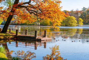Autumn foliage in Catherine park, Pushkin (Tsarskoe Selo), Saint Petersburg, Russia