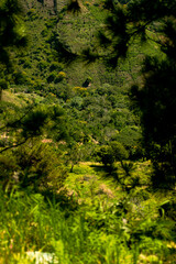 Fototapeta na wymiar Landscape Cordillera Central, Dominican Republic