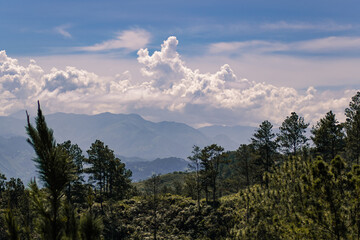 Landscare Cordillera Central, Dominican Republic