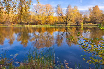 Autumn forest lake reflection landscape