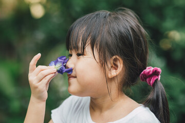 Smell sensory learning from flower. Cute Asian kid exploring natural environment through outdoor activity like play, touch and see the real things is the best method for education in children.  - obrazy, fototapety, plakaty