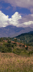 Landscare Cordillera Central, Dominican Republic