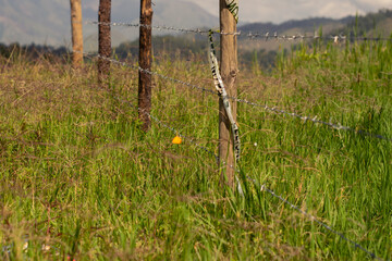 Landscape Cordillera Central, Dominican Republic