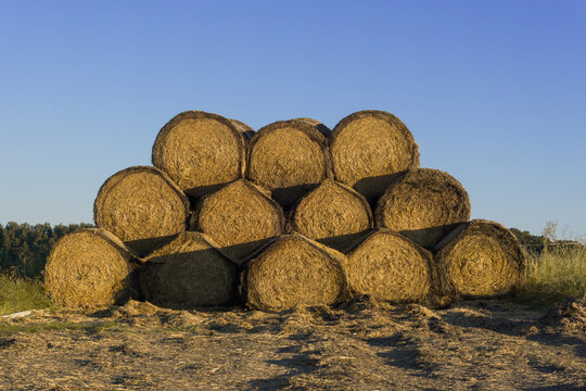 Straw bales stacked symmetrical in rows