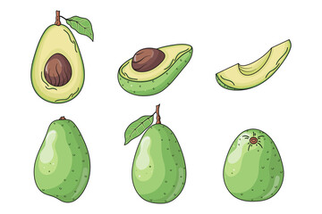 Set of cute hand drawn whole, half, quarter and cut fresh avocado fruit isolated on white background. Vector gaphic elements for package, label, wrapping paper, cards, print, banner, advertising.
