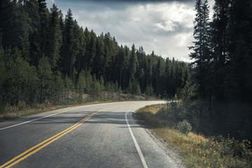Fototapeta na wymiar Road trip of asphalt highway curved in pine forest at Banff national park