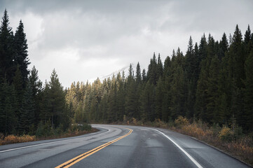 Road trip on highway road with sunlight on pine forest in overcast at Banff national park © Mumemories