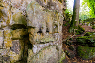 Face from dinosour naturally caved in standstone in the forest