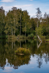 dreamlike autumn forest in the nature reserve pfrungen wilhelmsdorfer ried