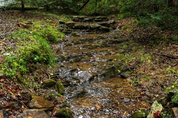 Small stream with clear, running water.