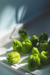 vegetables picked from the garden in a flat plate