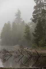 lake covered in thick early morning fog