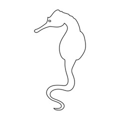 Sea horse vector icon.Outline vector icon isolated illustration on white background sea horse.