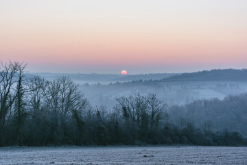 Winter Country Sunrise and Wild Plants