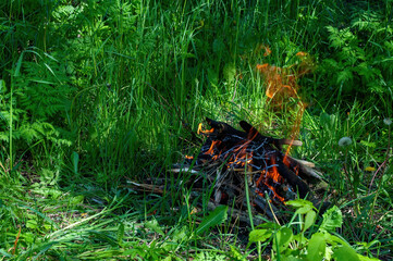A bonfire is burning in the forest. Camping. Summer, green grass, nice weather