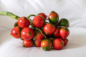 Pupunha - Amazon Fruit - Region Coffee - Food Amazon