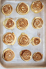Rolled cinnamon dough on a baking sheet in the oven.