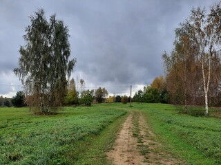 landscape with trees