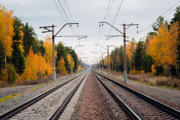 Fototapeta na wymiar Railroad track curved in autumn forest 