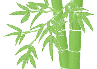 緑色の笹の葉をたくさんつけた竹