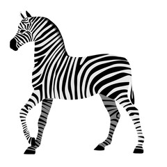 Fototapeta na wymiar Zebra drawing in black and white stripes isolated on white.
