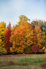 Fototapeta premium Fall color in the Cuyahoga Valley National Park in Ohio