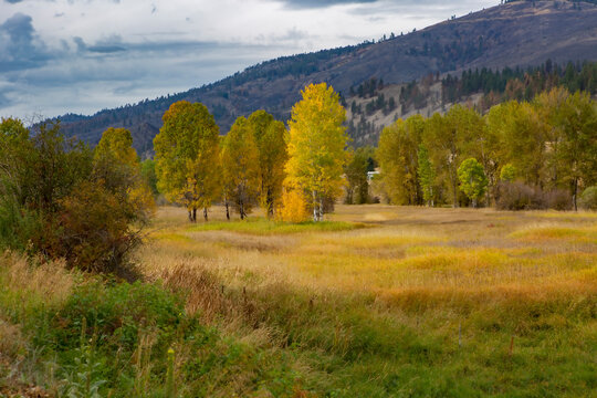 Fall Colors In North Central Washington