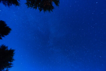 Fototapeta na wymiar Dark blue night sky with many stars, cosmos milky way background
