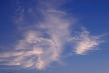 Obraz premium 青空と白い雲