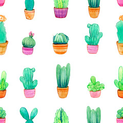 set of cactus