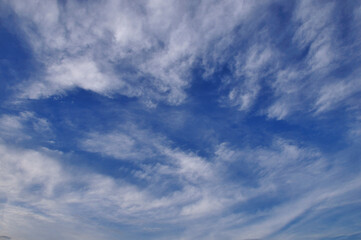 Fototapeta premium 青空と白い雲