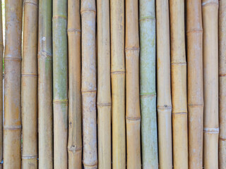 fondo de madera de junco, ramas alineadas verticalmente, con luz natural 