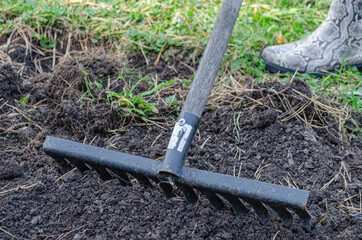 gardener with a rake works in the garden