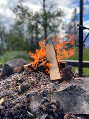 campfire in the forest