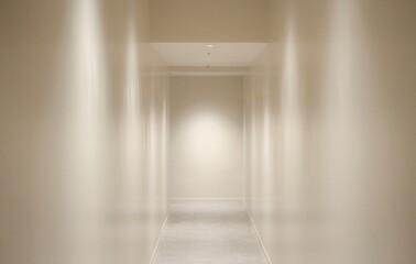 Long white hallway with spotlights shinning on blank walls for interior design and background or texture 