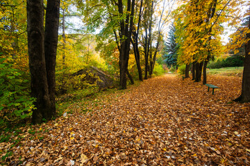 Beautiful autumn landscape at sunny day, Armenia