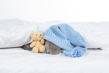 Fototapeta na wymiar Cute baby kitten wearing warm blue hat hugs toy bear and sleeps under blanket on a bed at home