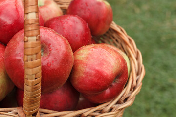 Ripe red apples in a basket close up