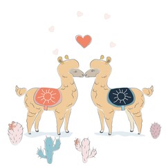 Cute Alpaca Couple